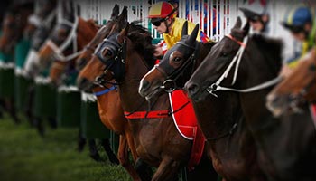 Racebook
